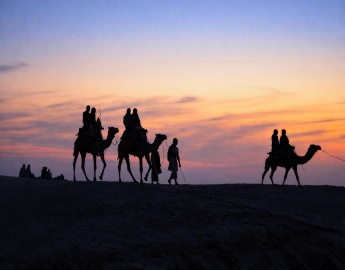 Jaipur Tour